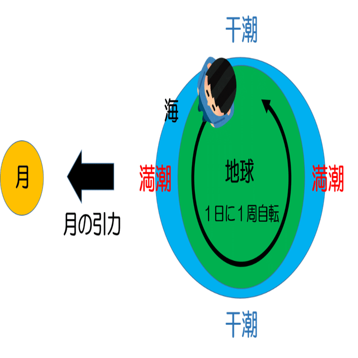 満潮と 干潮について質問です どうして 一日2回満潮と干潮があるのですか どうして 冬は夜の方が潮が引くのですか 海洋研究開発機構 Jamstec 高知コア研究所 Note
