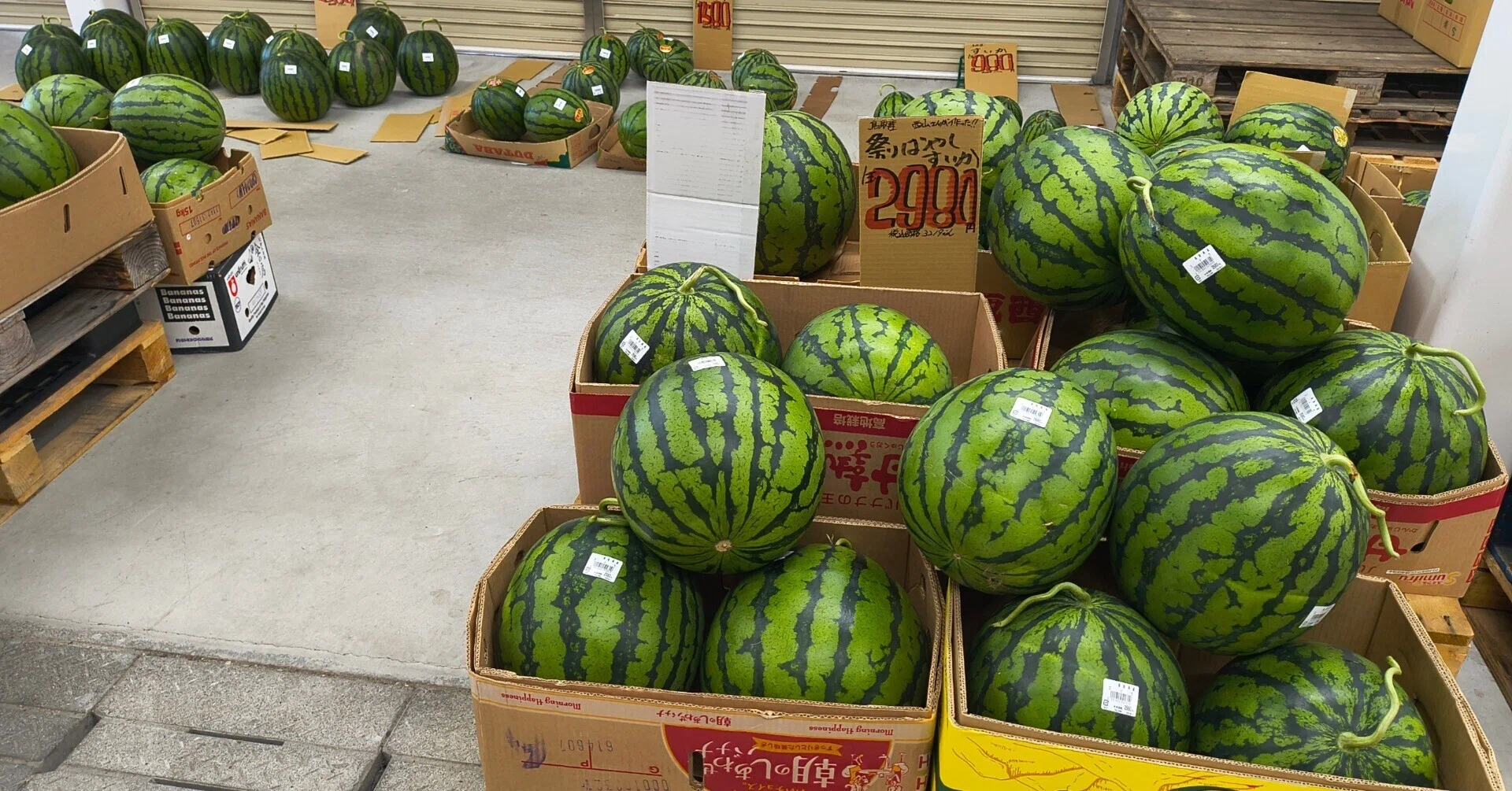 すいかをいっぱい買える店・岡田商店】｜ちょっこし山陰24⤴