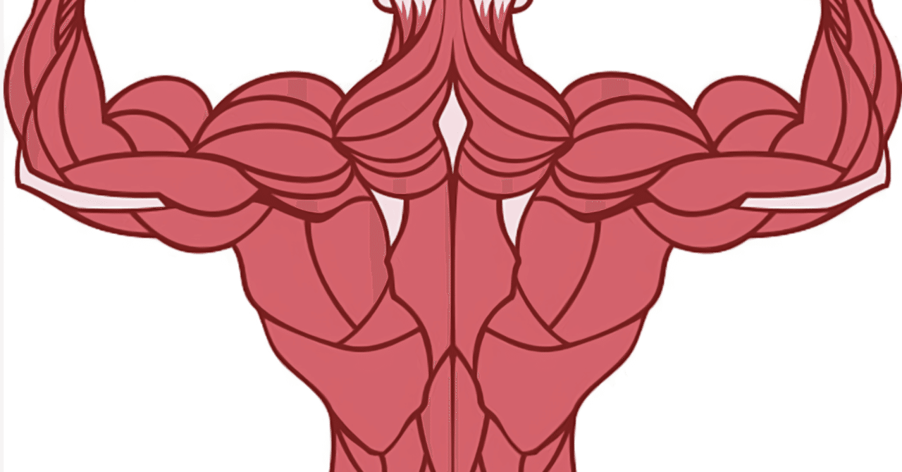 大円筋と広背筋のトレーニングを別で考えている人へ 鈴木 寛太 動かしやすい身体づくりトレーナー Note