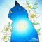 夜空☆ ドタバタ凹凸毎日お疲れさん仲間 癒しの月明かり広場へようこそ