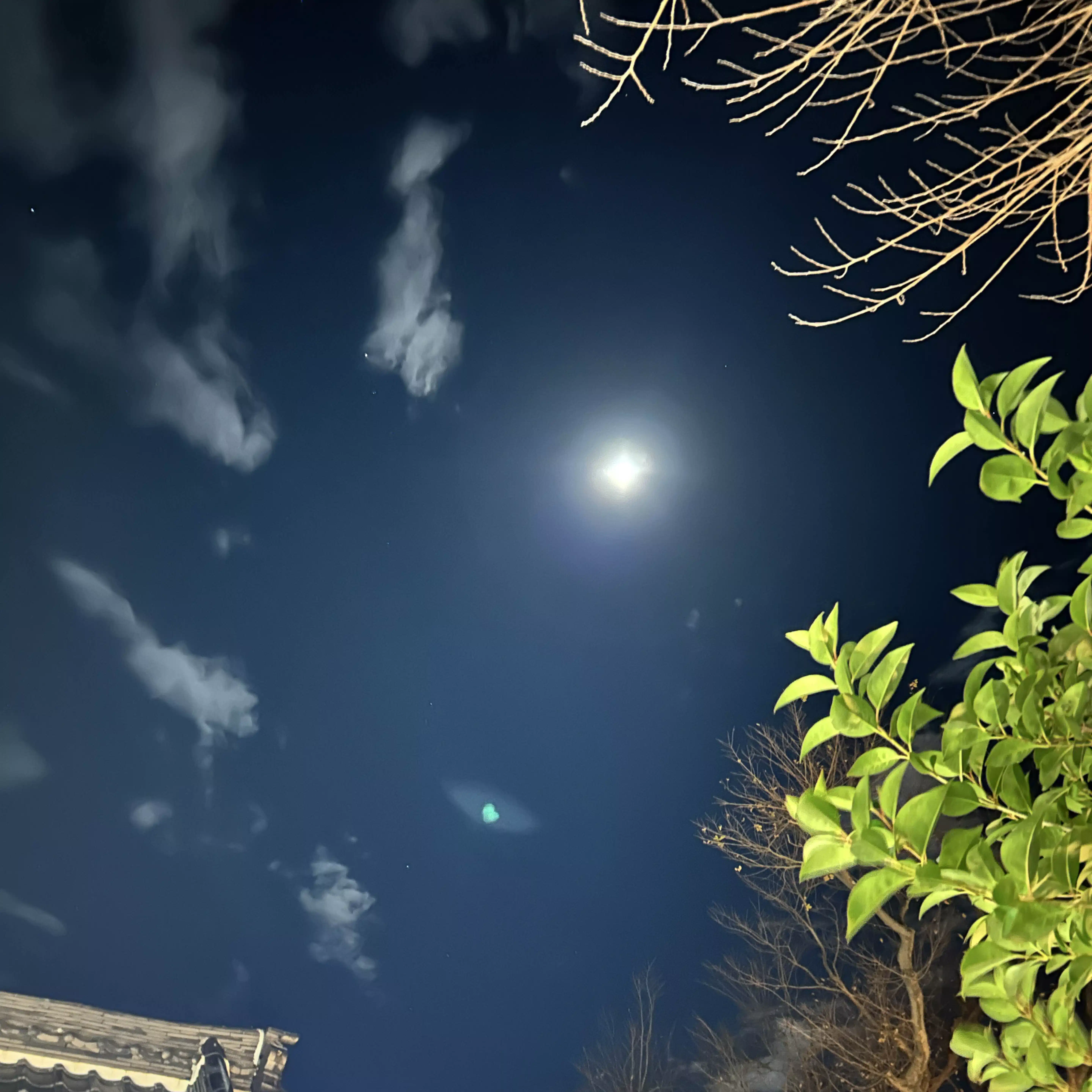 夜野霧