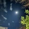 夜野霧