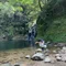 ふせみはる