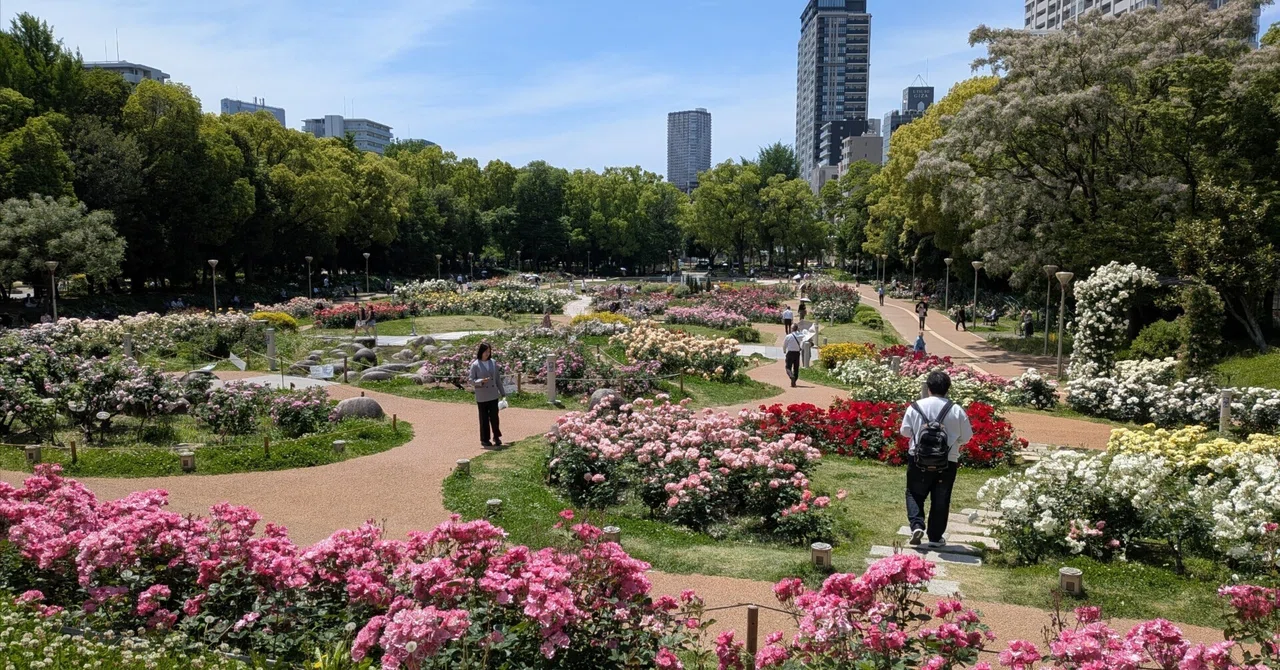 靭 公園 バラ 園