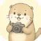 カメラ大好き カワウソ先輩