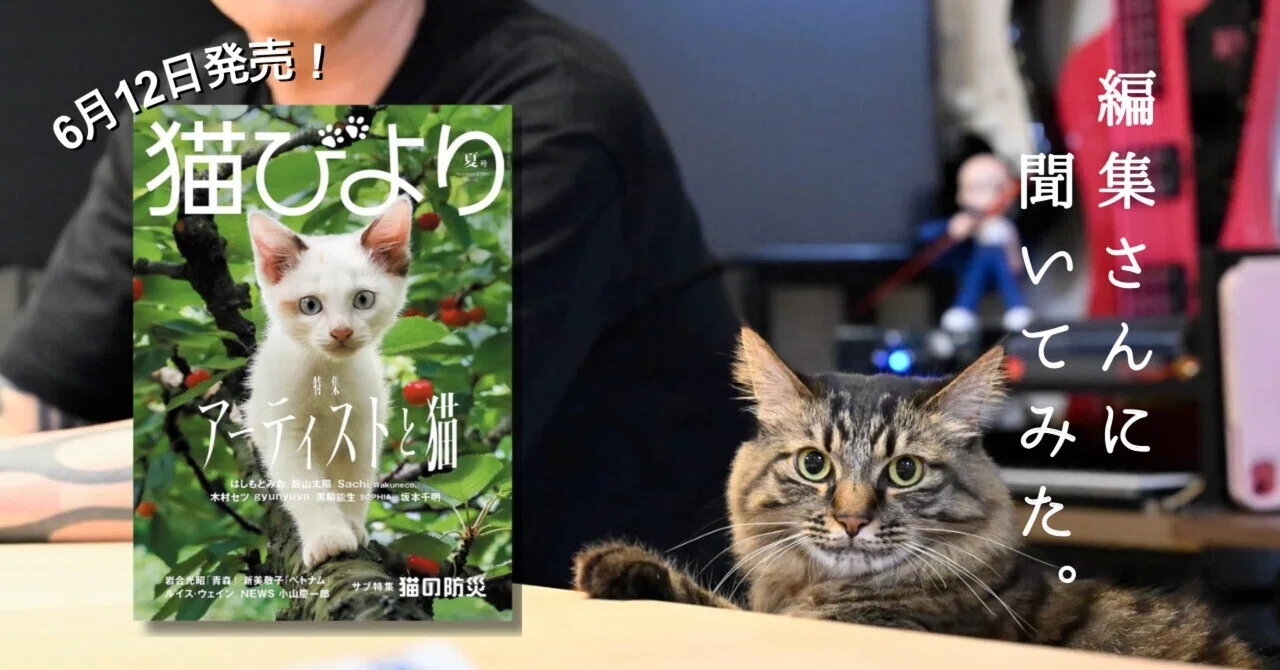 猫びよりの編集さんに聞いてみた ｜黒柳 能生 公式note