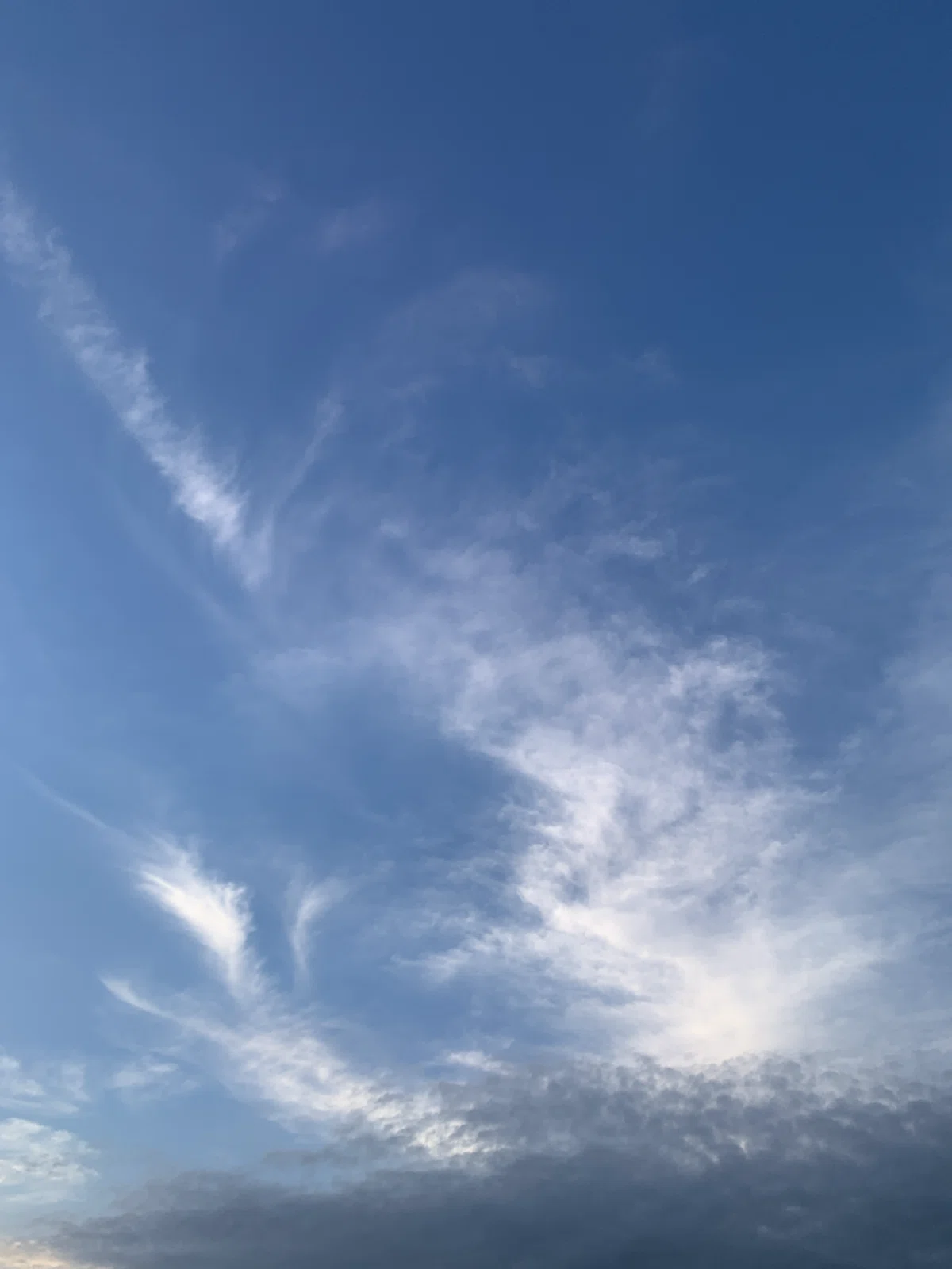 夏至の光の奥にあるもの。八芒星が教えてくれた、日月星とその先【在る】【現実創造】|alma