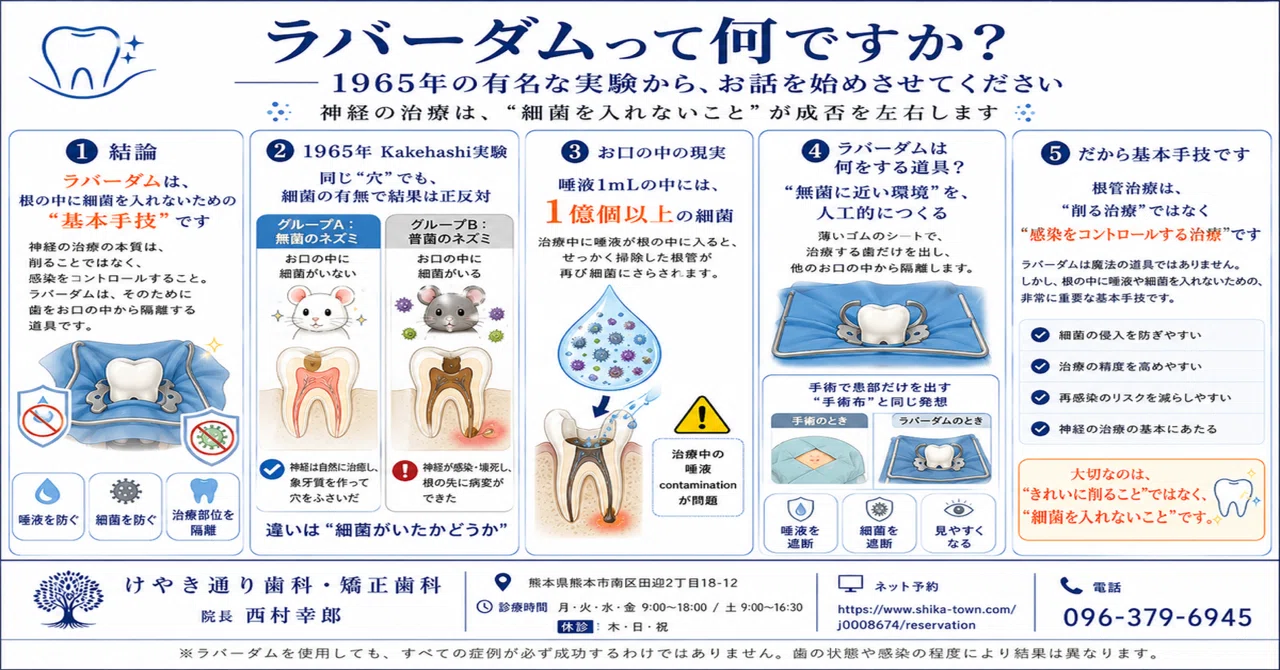 ラバーダムって何ですか？＿60年前の実験が証明した真実と、日本の 
