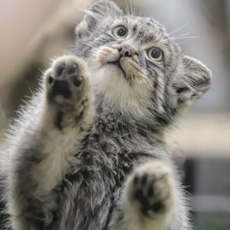 那須どうぶつ王国公式note