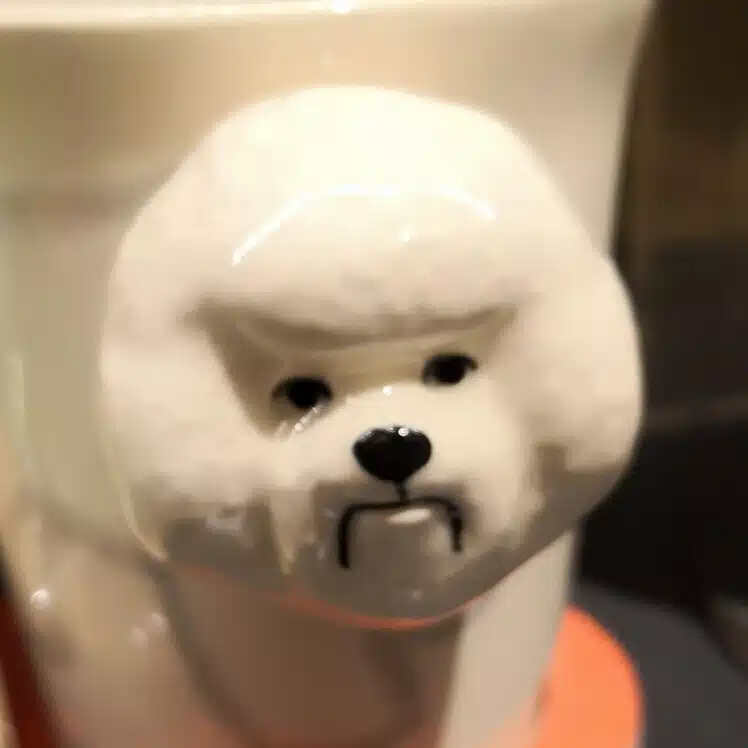 ありをりジャベリン