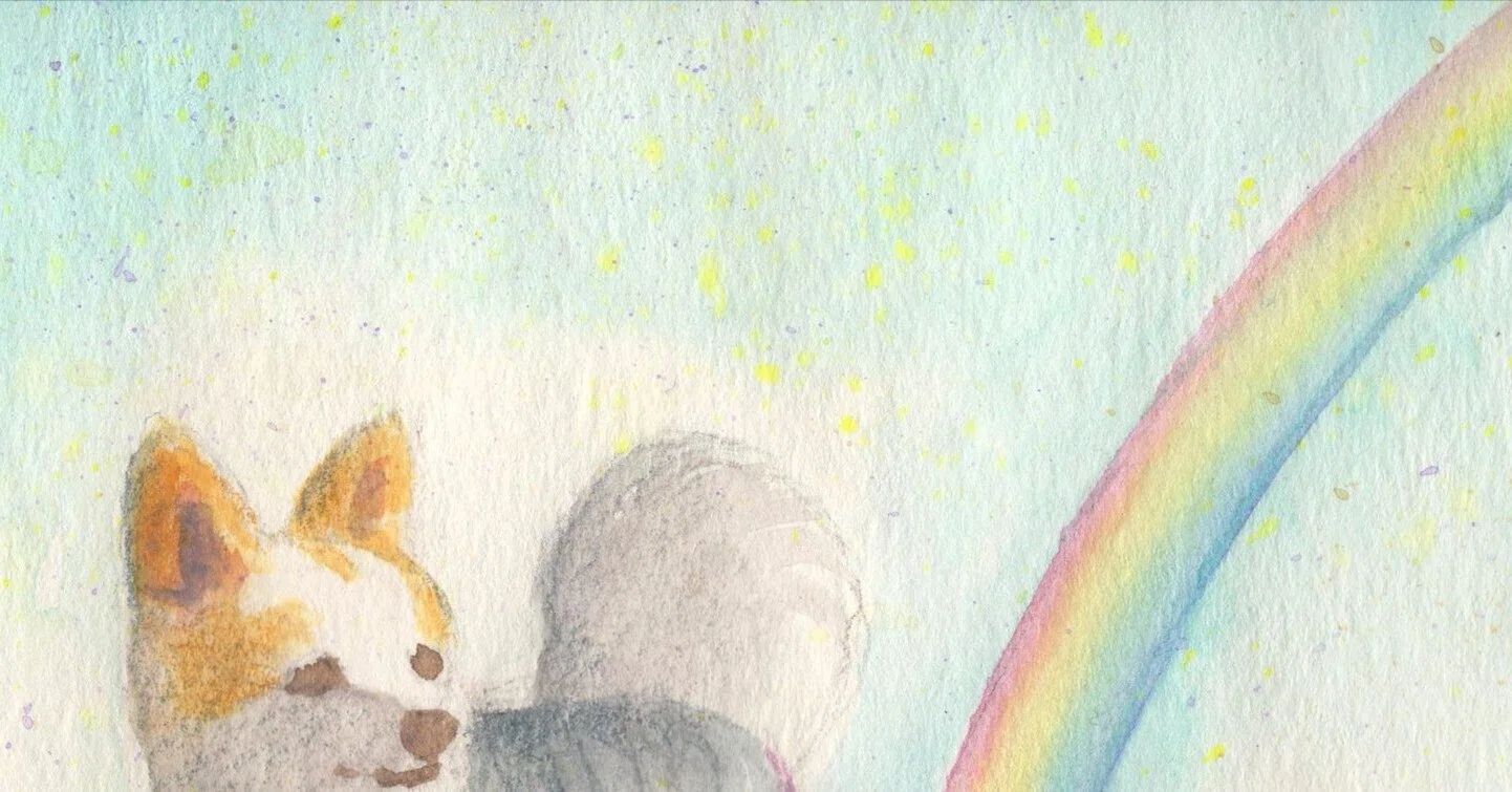 愛犬の記憶と過去絵｜ちろ