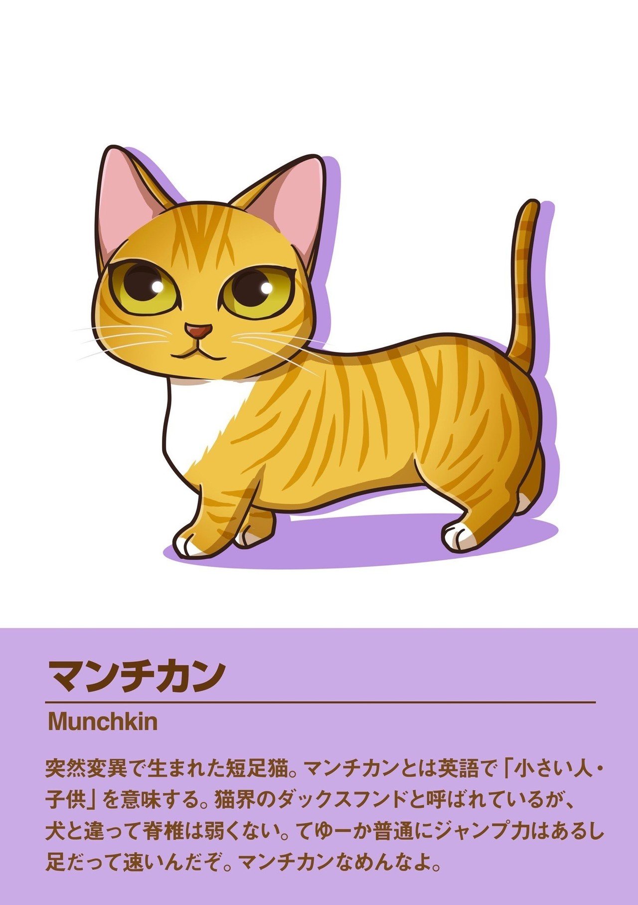 マンチカン Masaki Note