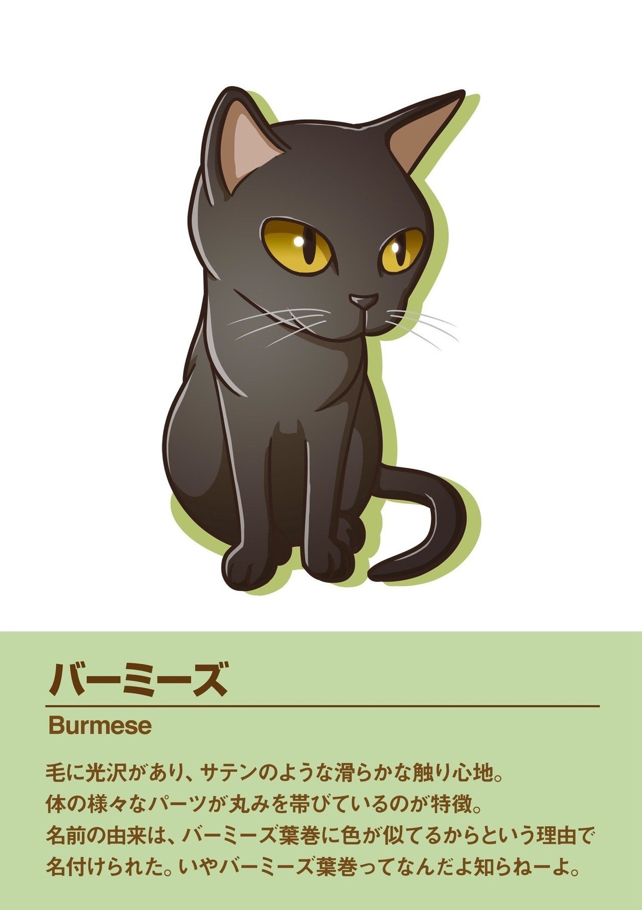 バーミーズ|MASAKI|note