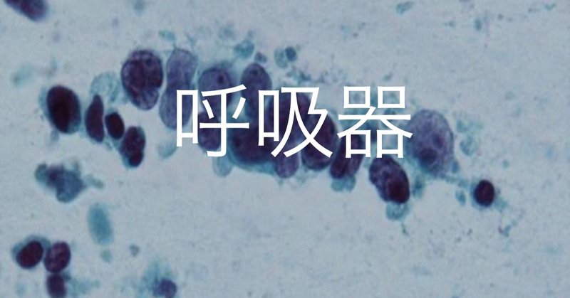 呼吸器 19年度第52回細胞検査士筆記試験 Hiro3 Note