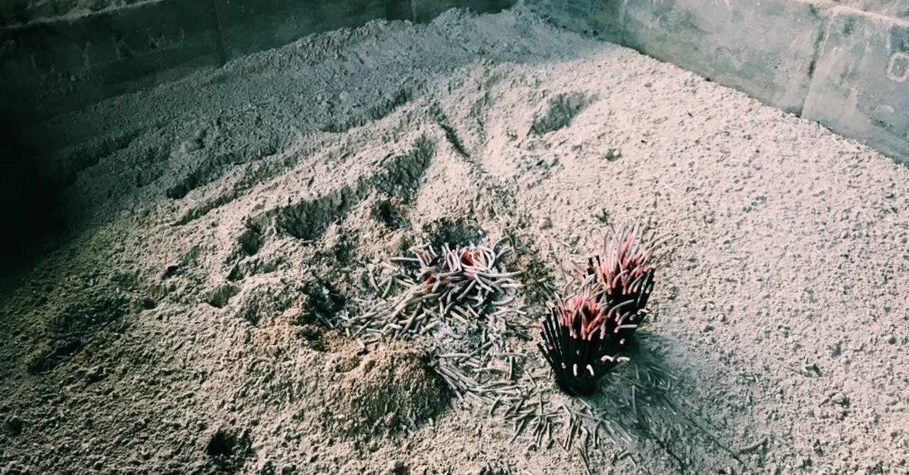 流れ作業 の新着タグ記事一覧 Note つくる つながる とどける 流れ作業 の新着タグ記事一覧 Note つくる つながる とどける