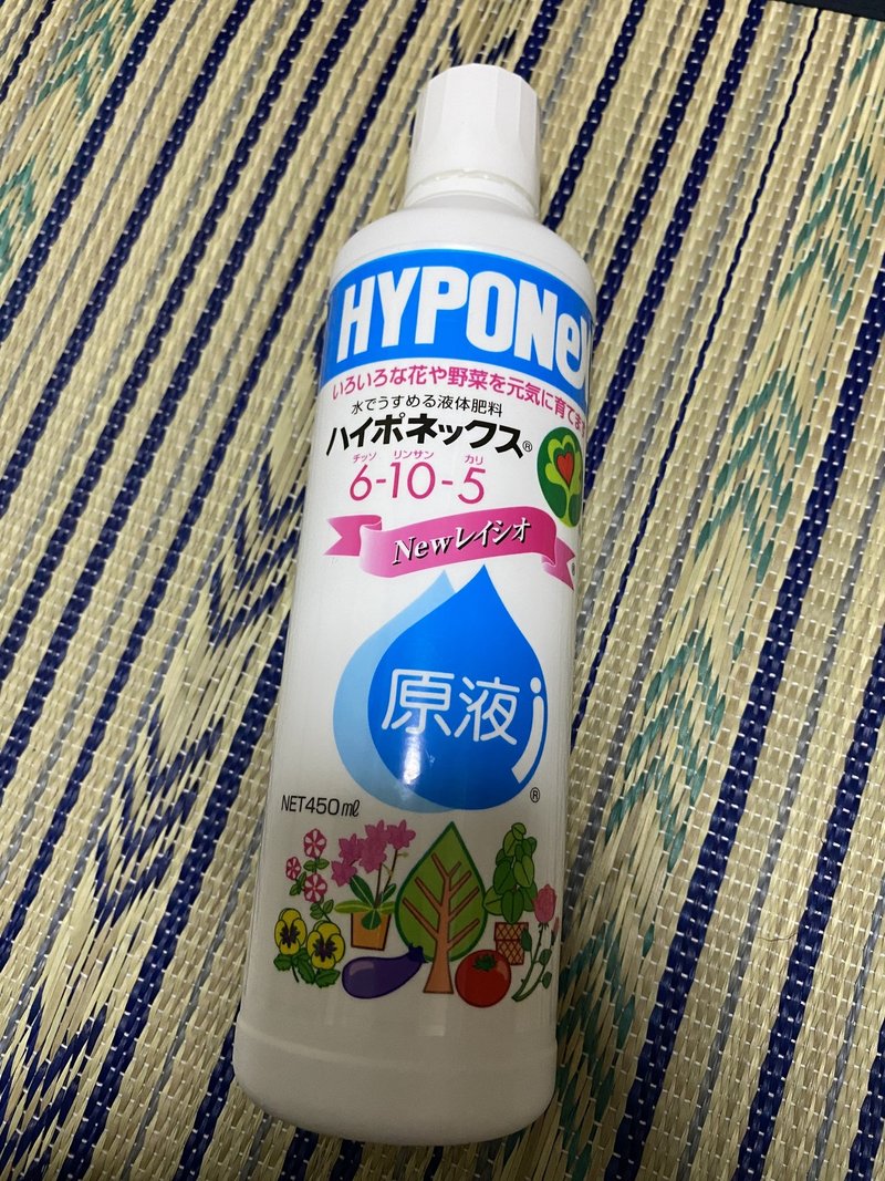 朝顔と秋桜 三十七日目 雲丹 Note