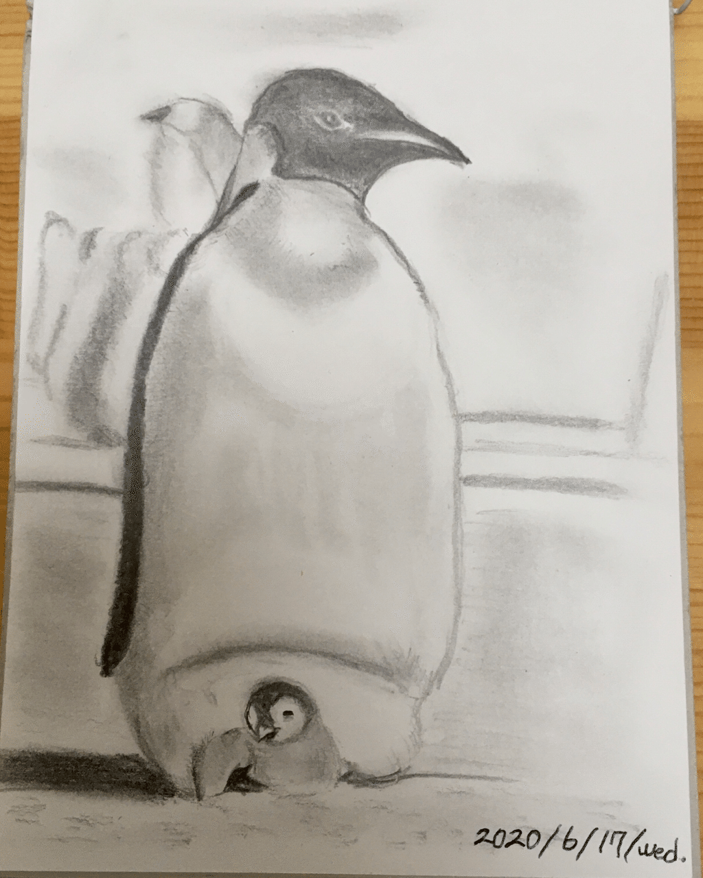 鳥専門水彩画家 の新着タグ記事一覧 Note つくる つながる とどける 鳥専門水彩画家 の新着タグ記事一覧 Note つくる つながる とどける