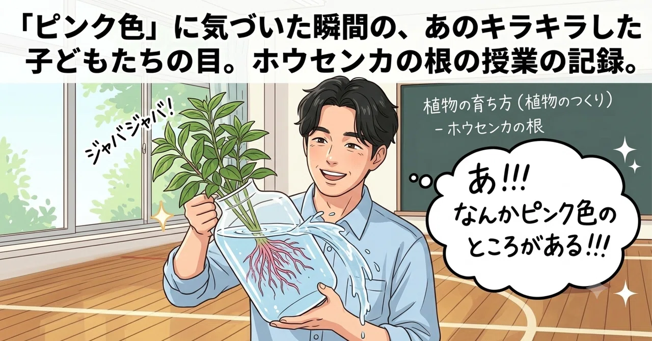 ホウセンカ 観察 ポイント