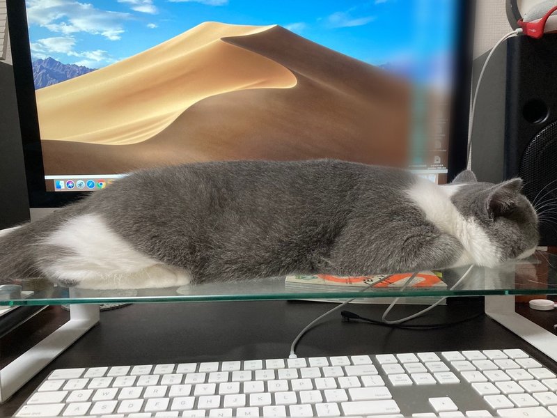 キーボードに乗る猫対策その3 ツルタ Note