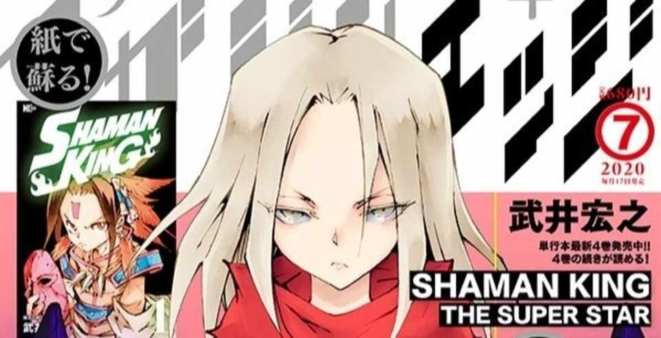 シャーマンキング The Superstar 28の感想 丹花 Note
