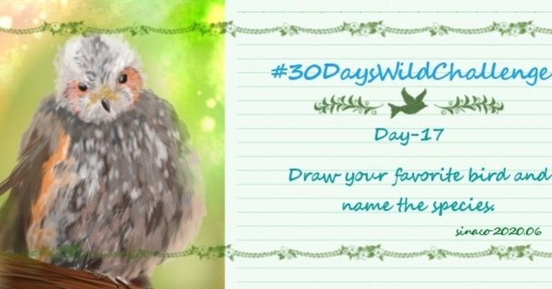Day-17 : Draw your favorite bird and name the species.