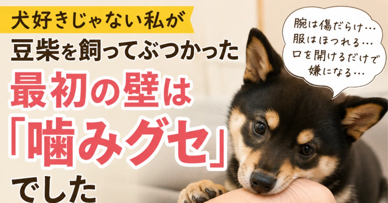 犬好きじゃない私が豆柴を飼ってぶつかった最初の壁は「噛みグセ」でした｜harionna