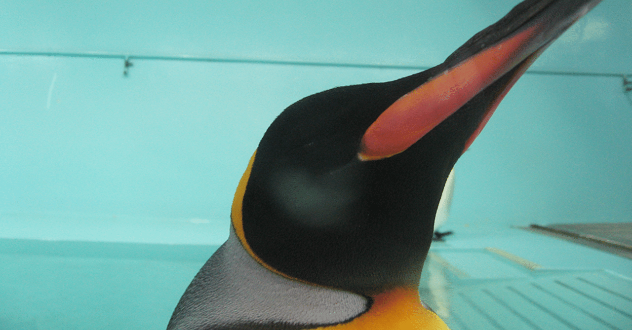 ペンギンのお尻可愛いよね Renohi Note ペンギンのお尻可愛いよね Renohi Note