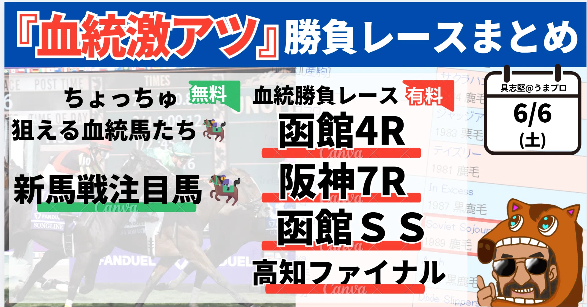 6/13(土)血統勝負レース一覧＋ちょっちゅ使える血統辞典該当馬一覧