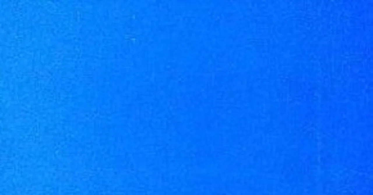 あぶらだこ（青盤）/あぶらだこ(1986)（2026/6/14)｜ロッキーの撮影