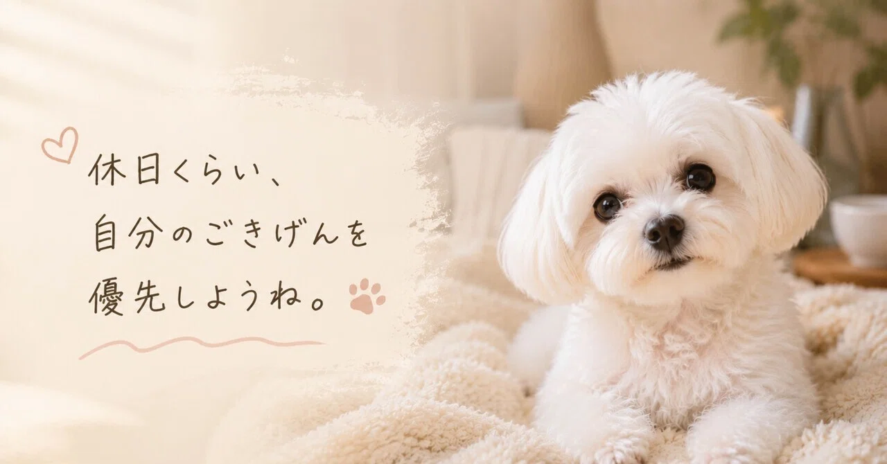【2026年最新】休日の質がグッと上がる！夫婦で感動したAmazonの便利な生活用品4選