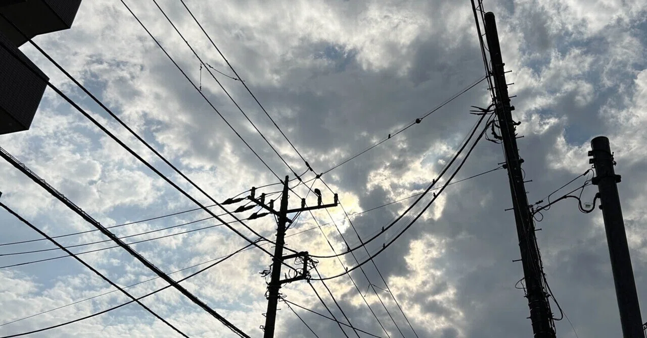 雨上がり 【写真】｜こひつじ
