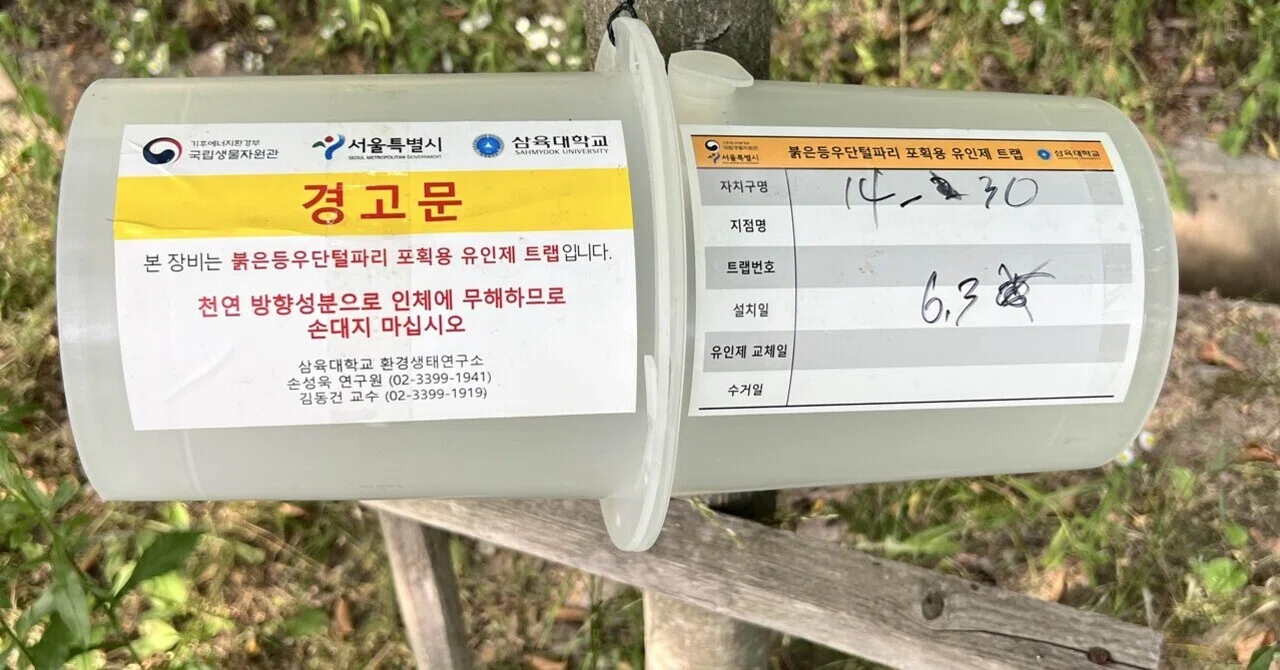 125 韓国の公園で見つけた謎の筒。その正体は…｜KenKen