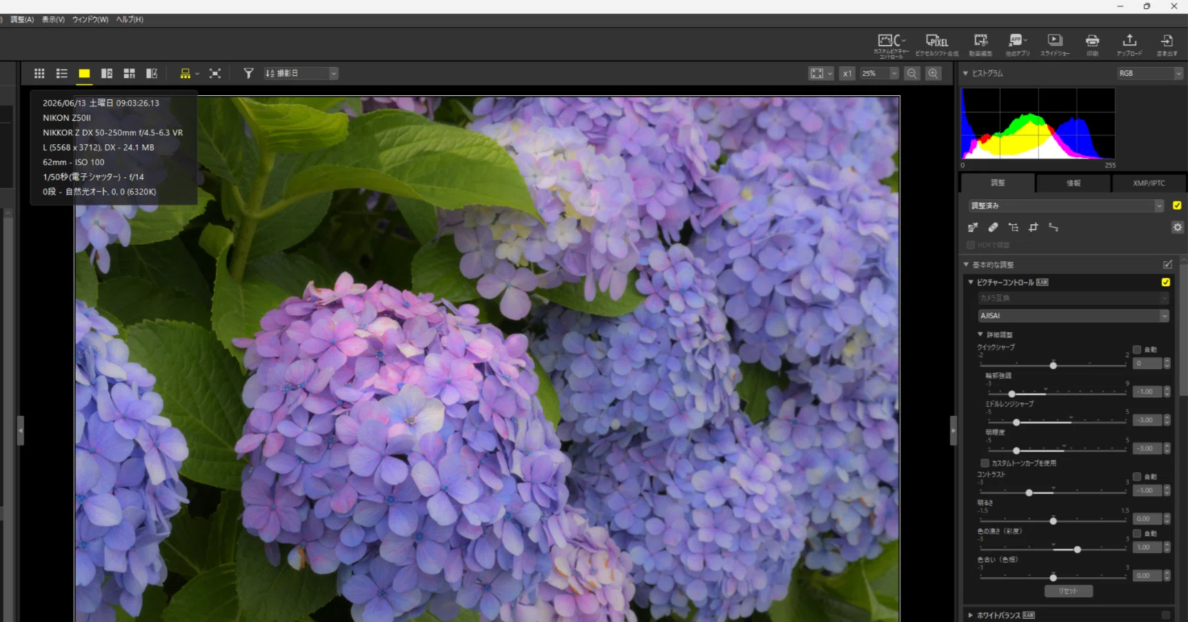 現像紫陽花 with NX Studio｜HAJ