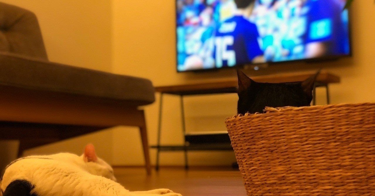 スポーツのオンライン観戦は スタジアム観戦と肩を並べたいけれど テレビ観戦以上にはなれないって話 Balloon Inc Design Consulting Studio Note