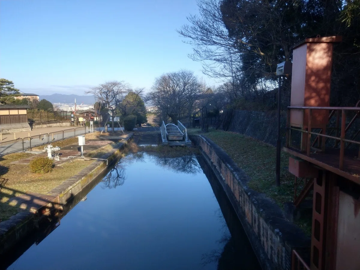 画像4