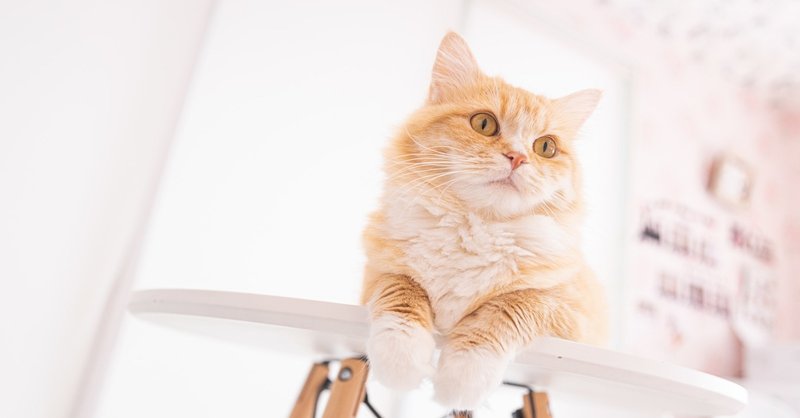 Twstと七つの大罪の関係性 琉香 Note