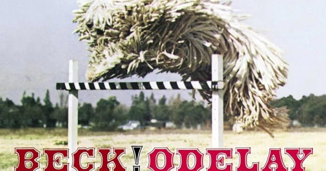 Odelay / Beck (1996)｜まるどめザムザ