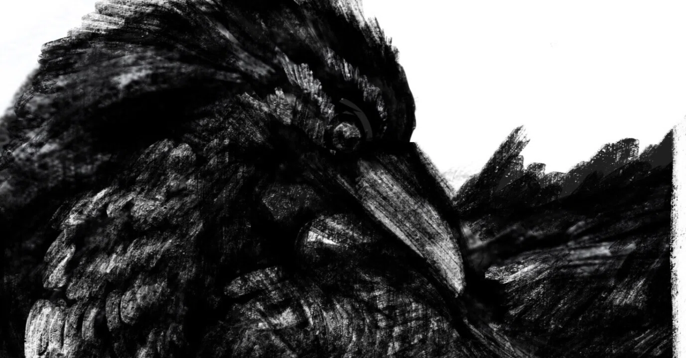 烏/Raven』｜kenichi kiriki