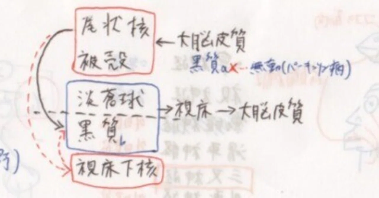 理学療法士のノート(国家試験勉強)#89.いろいろ詰め合わせ｜花田幸志郎