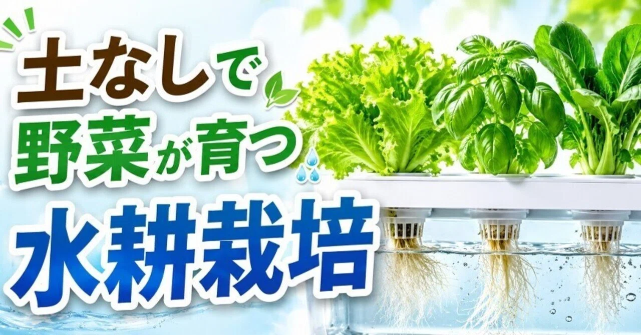 土なしで野菜が育つ！水耕栽培｜HIROの自給自足チャンネル