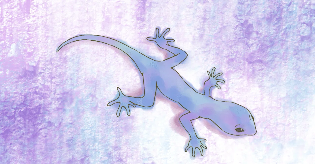 Creatures That Climb Walls | The Difference Between Geckos and Insects ...