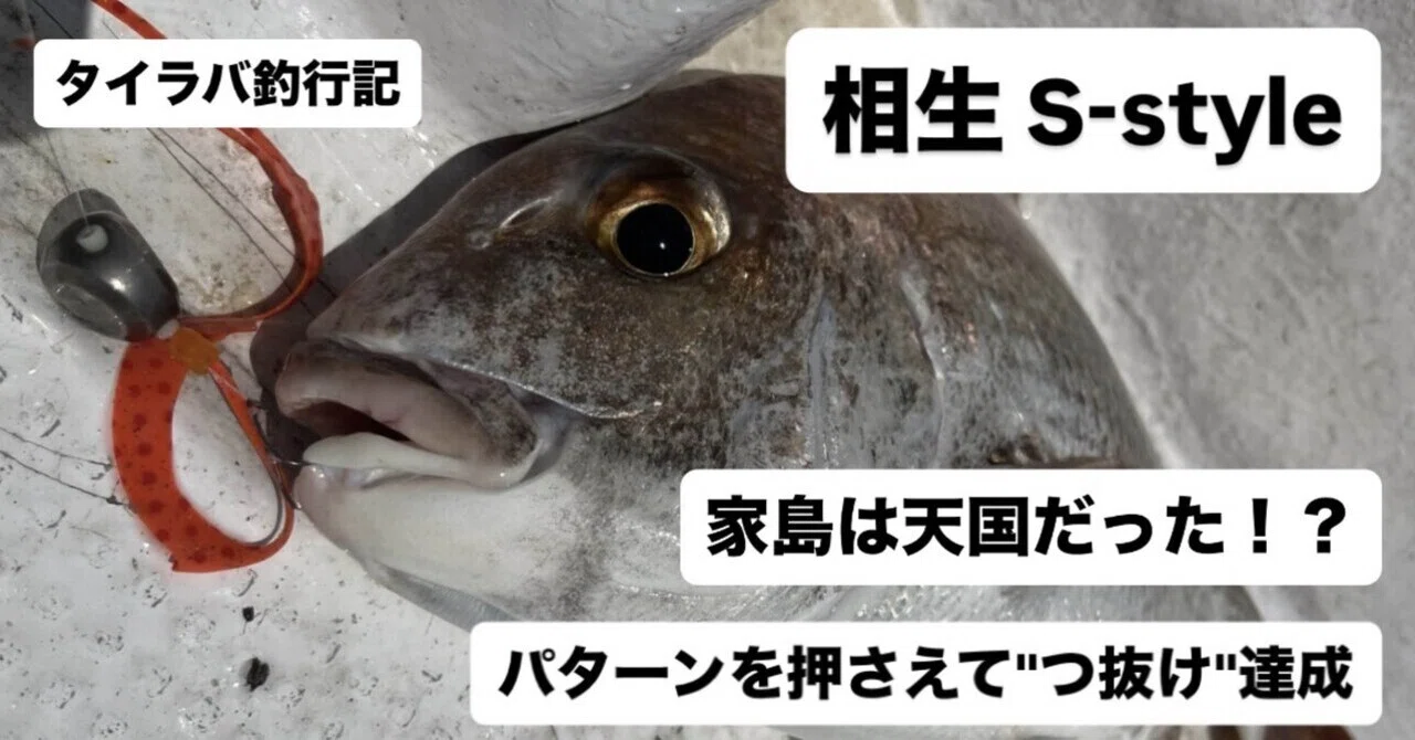 瀬戸内タイラバ釣行記 家島タイラバのすゝめ(2026/6/12 相生 S-style
