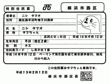 タマタマちゃん｜たこやまたこた