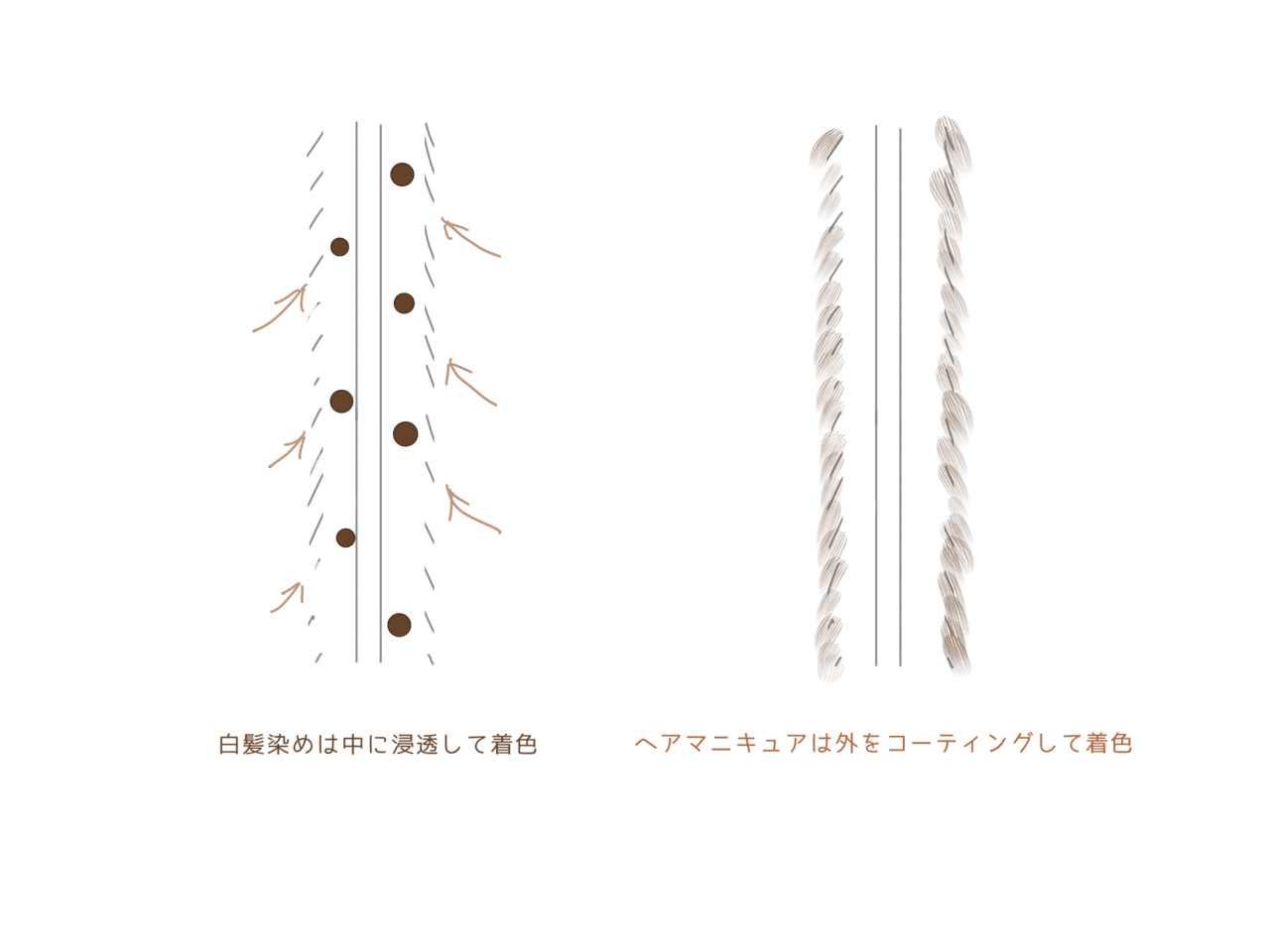 美容師から グレイヘアにしたい貴方へ 操作イトウ 30代二子玉川美容師 Note