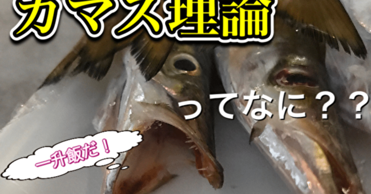 3分でわかる カマス 釣り 山阿呆の大学生 Note