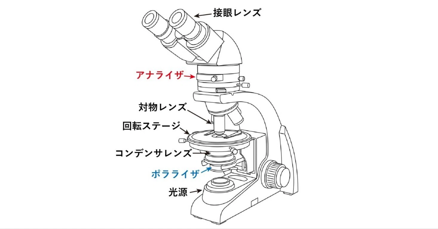 偏光顕微鏡（Polarized light microscopy）とは｜市川 壮彦
