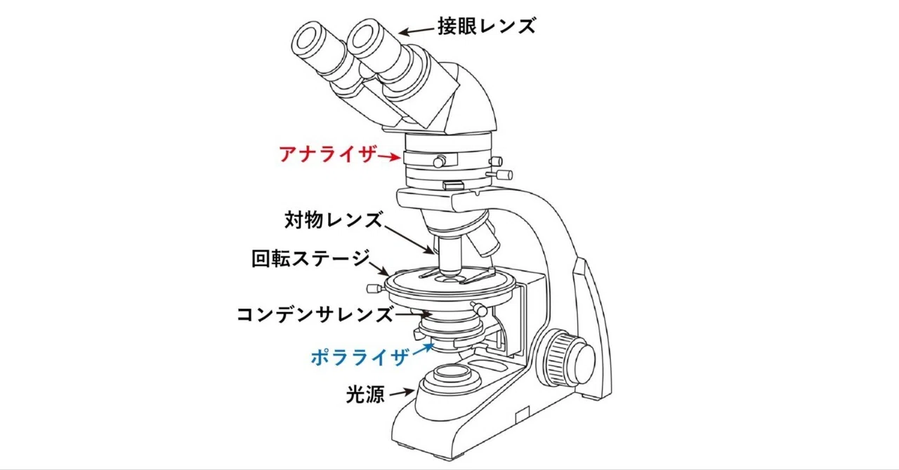 偏光顕微鏡（Polarized light microscopy）とは｜市川 壮彦