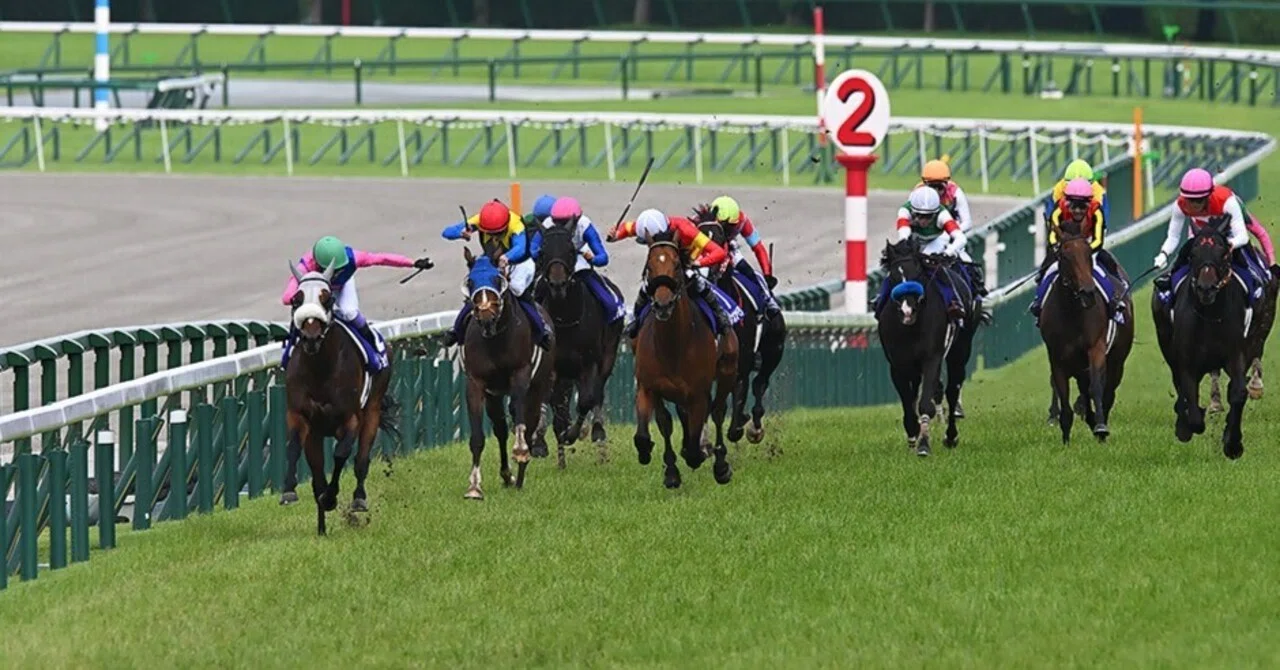 宝塚記念'26（けいばのよそう）｜ラーメンと競馬と映画がたまらなく