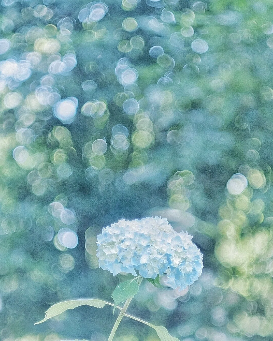 画像13