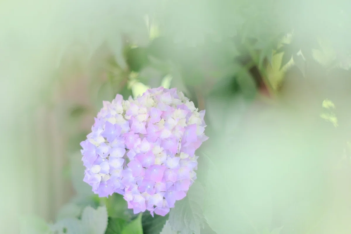 画像17